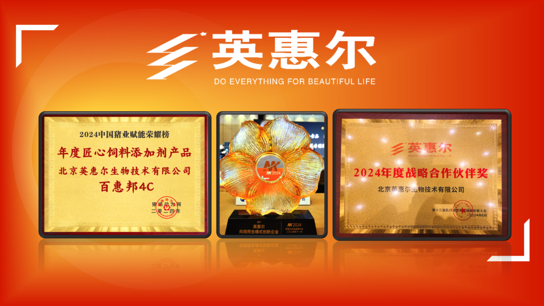 bac968210f3a0518358e22b14072928e_17369091083987974.png